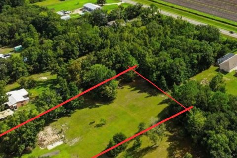Land in Bunnell, Florida № 2385912