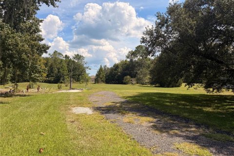 Land in Bunnell, Florida № 2385912 - photo 4
