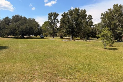 Land in Bunnell, Florida № 2385912 - photo 6