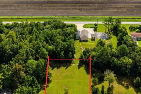 Land in Bunnell, Florida № 2385912 - photo 3