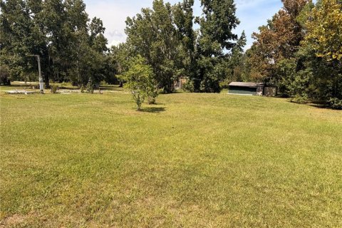 Land in Bunnell, Florida № 2385912 - photo 7