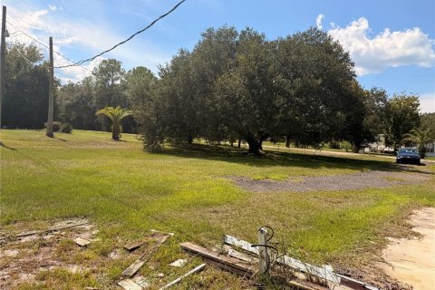 Land in Bunnell, Florida № 2385912 - photo 12