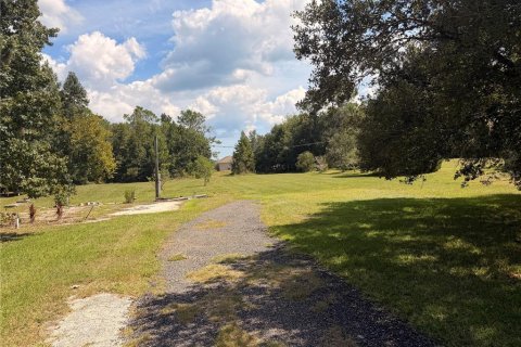 Land in Bunnell, Florida № 2385912 - photo 13