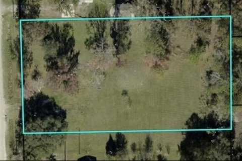 Land in Bunnell, Florida № 2385912 - photo 15