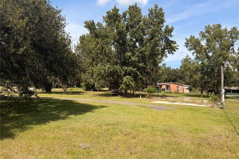 Land in Bunnell, Florida № 2385912 - photo 5