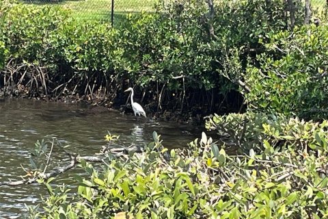 Condo in New Port Richey, Florida, 2 bedrooms  № 1817378 - photo 12