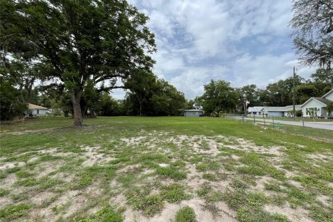 Terreno en venta en Wildwood, Florida № 1776921 - foto 4