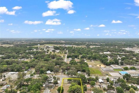 Terreno en venta en Wildwood, Florida № 1776921 - foto 9