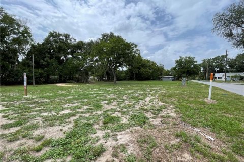 Terreno en venta en Wildwood, Florida № 1776921 - foto 2