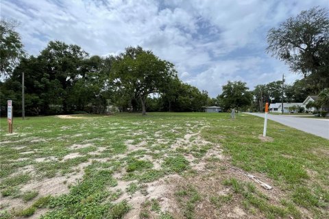 Terreno en venta en Wildwood, Florida № 1776921 - foto 3