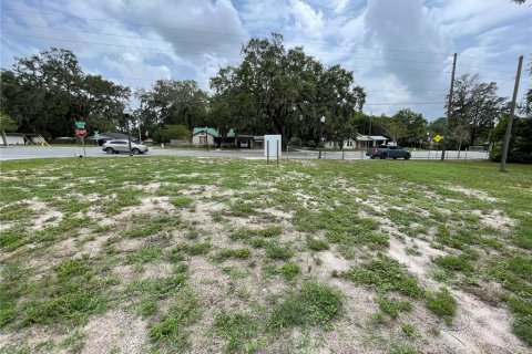 Terreno en venta en Wildwood, Florida № 1776921 - foto 6
