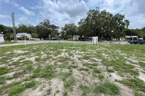 Terreno en venta en Wildwood, Florida № 1776921 - foto 5
