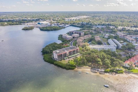 Condo in Dunedin, Florida, 2 bedrooms № 2349172 - photo 20
