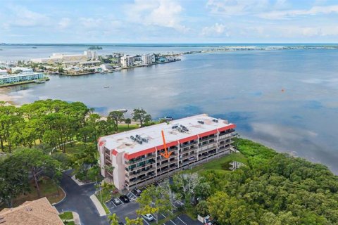 Condo à Dunedin, Floride, 2 chambres  № 2349172