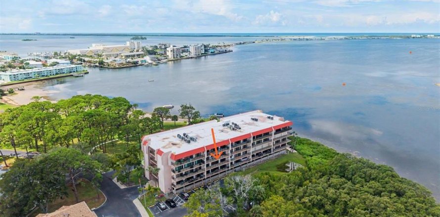Condo in Dunedin, Florida, 2 bedrooms № 2349172