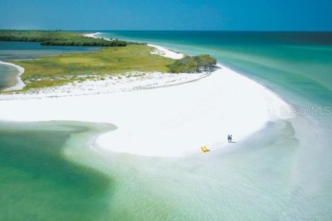 Condo in Dunedin, Florida, 2 bedrooms № 2349172 - photo 26