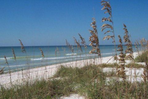 Condo in Dunedin, Florida, 2 bedrooms № 2349172 - photo 29