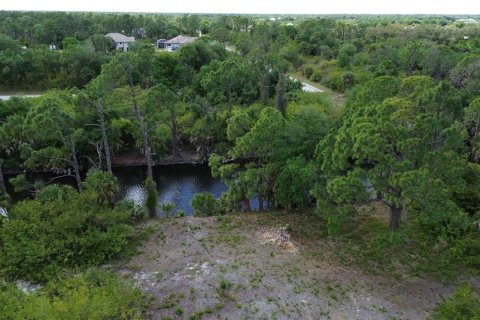 Land in Port Charlotte, Florida № 2165765 - photo 4