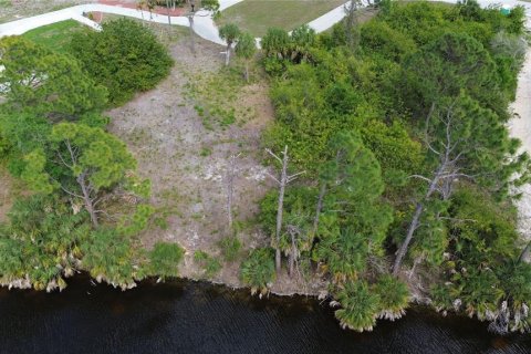 Land in Port Charlotte, Florida № 2165765 - photo 8