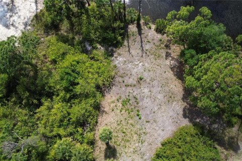 Land in Port Charlotte, Florida № 2165765 - photo 10
