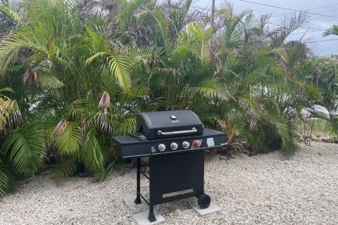 Apartamento en alquiler en Indian Rocks Beach, Florida, 2 dormitorios, 69.49 m2 № 2212872 - foto 6