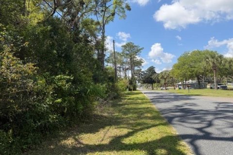 Terreno en Newberry, Florida № 2232996