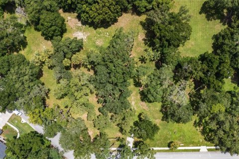 Terreno en venta en Sanford, Florida № 1301071 - foto 3