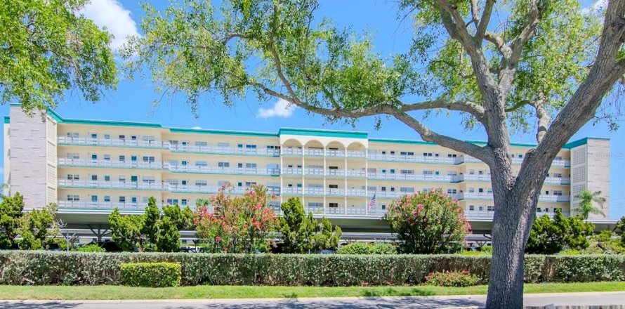 Condo in Gulfport, Florida, 1 bedroom № 1612588