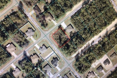 Terreno en venta en Ocala, Florida № 2102373 - foto 3