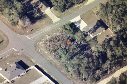 Terreno en venta en Ocala, Florida № 2102373 - foto 5