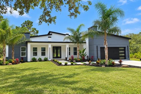 Casa en Eustis, Florida 4 dormitorios, 249.81 m2 № 2369034