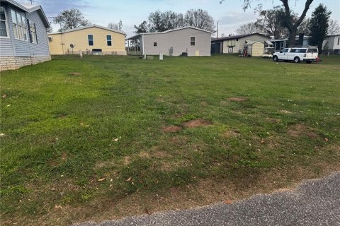 Terreno en venta en Dade City, Florida № 1567281 - foto 1