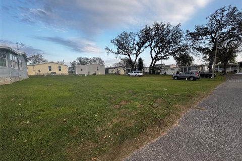 Terreno en venta en Dade City, Florida № 1567281 - foto 2