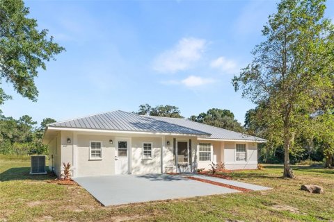 Villa ou maison à vendre à Morriston, Floride: 4 chambres, 202.34 m2 № 2438384 - photo 3