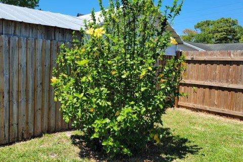 Apartment in Hudson, Florida 1 bedroom, 48.77 sq.m. № 2259306 - photo 13