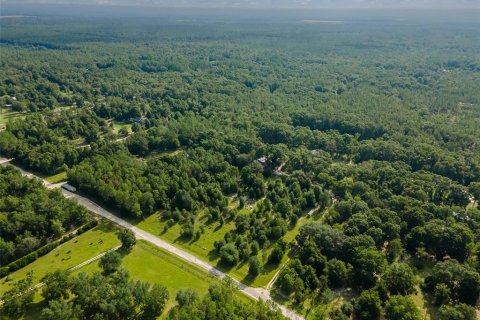 Land in High Springs, Florida № 1866708 - photo 8