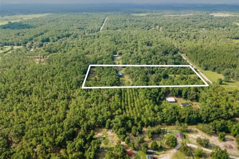 Land in High Springs, Florida № 1866708 - photo 5