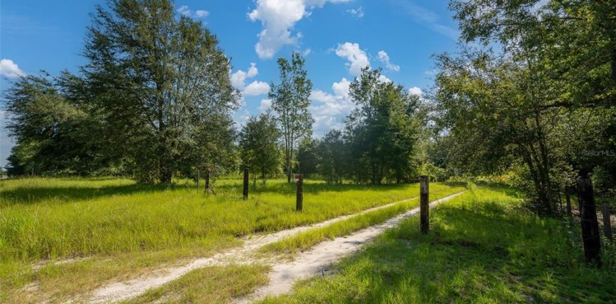 Land in High Springs, Florida № 1866708