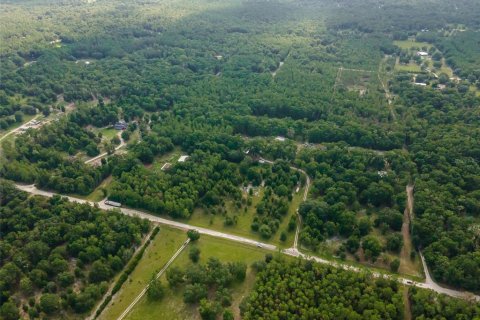 Land in High Springs, Florida № 1866708 - photo 7