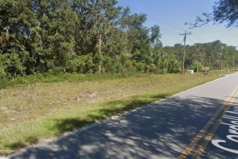 Terrain à vendre à Interlachen, Floride № 2207662 - photo 3