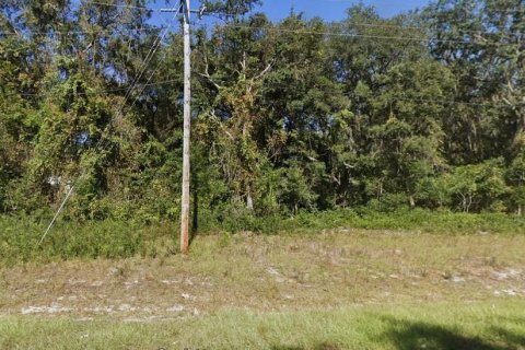 Terrain à vendre à Interlachen, Floride № 2207662 - photo 4