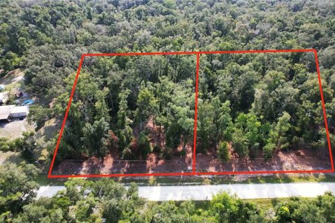 Land in Old Town, Florida № 2330008