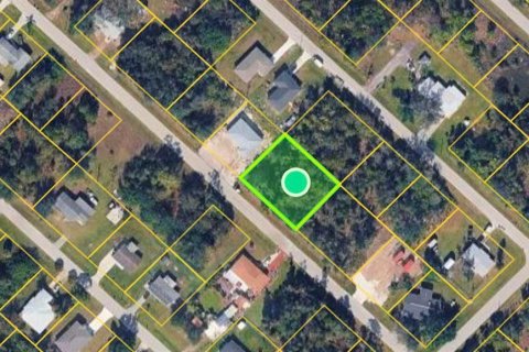 Land in Punta Gorda, Florida № 2159693 - photo 2