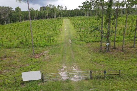 Land in Alachua, Florida № 1295250 - photo 30