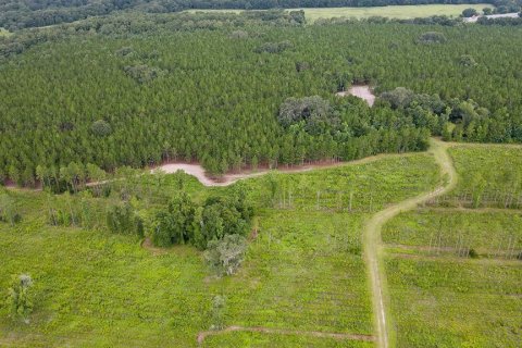 Land in Alachua, Florida № 1295250 - photo 16