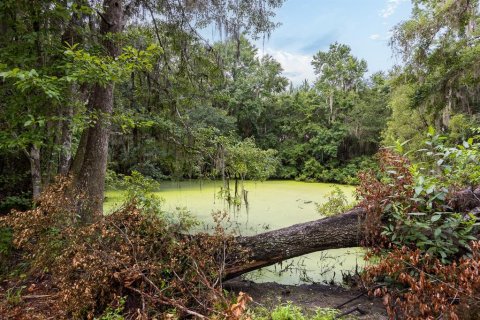 Land in Alachua, Florida № 1295250 - photo 25