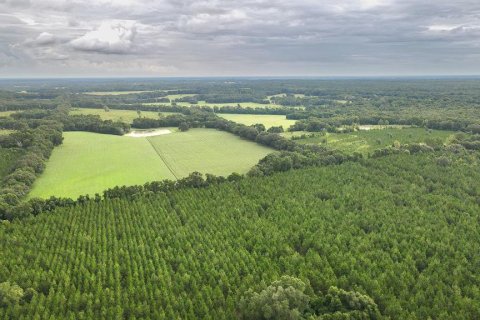 Land in Alachua, Florida № 1295250 - photo 17