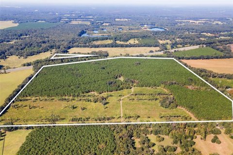 Land in Alachua, Florida № 1295250 - photo 2