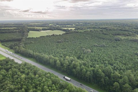 Land in Alachua, Florida № 1295250 - photo 15