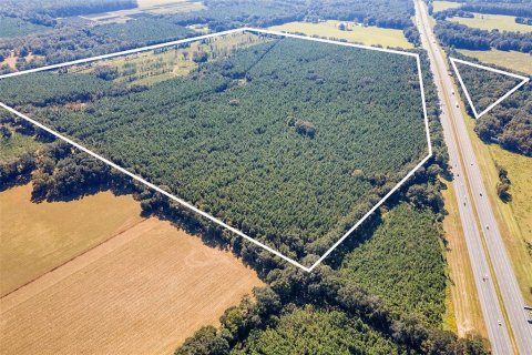 Land in Alachua, Florida № 1295250 - photo 5